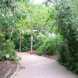 African Rainforest at Faunia, 27/05/11