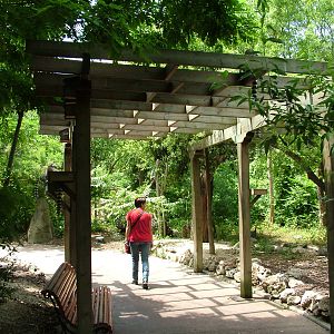 African Rainforest at Faunia, 27/05/11