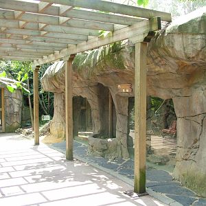 African Rainforest at Faunia, 27/05/11