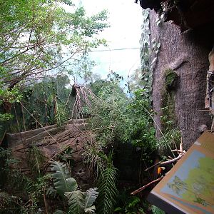 Main Jungle Area at Faunia, 27/05/11