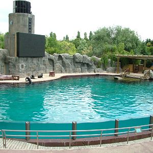 Pinniped Arena at Faunia, 27/05/11