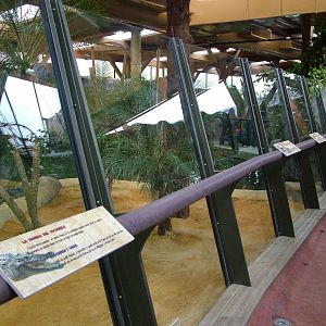 Crocodile Exhibit at Faunia, 27/05/11