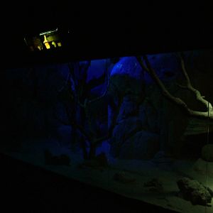 Nocturnal House at Faunia, 27/05/11