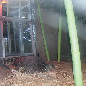 Holden Museum of Living Reptiles