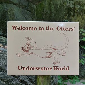 Cute Otter Sign