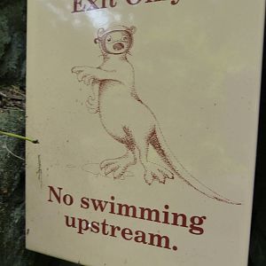 One Way Entrance & Exit