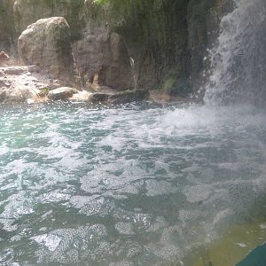 Last View of Otter Exhibit