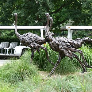 I don't see ostrich statues a lot