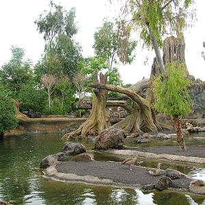 Hippo, Sitatunga and Monkey Exhibit at Bioparc Valencia, 28/05/11