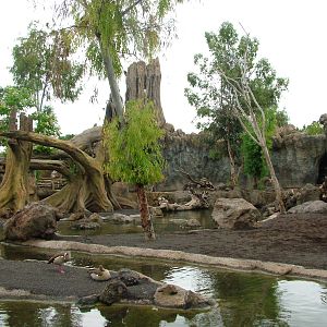 Hippo, Sitatunga and Monkey Exhibit at Bioparc Valencia, 28/05/11