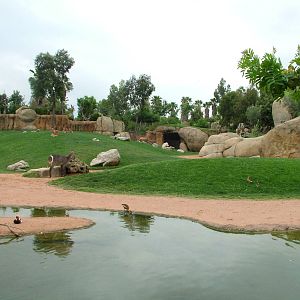 Main Savannah at Bioparc Valencia, 28/05/11