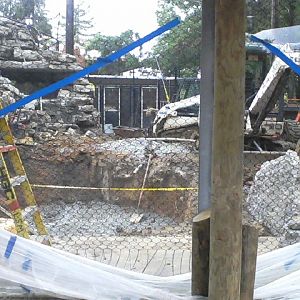 Night Hunters- Construction for the future Cougar exhibit