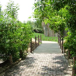 Lemur Walkthrough at Bioparc Valencia, 28/05/11