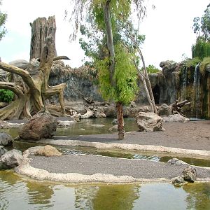Hippo, Sitatunga and Monkey Exhibit at Bioparc Valencia, 28/05/11