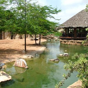 Savannah Viewing at Bioparc Valencia, 28/05/11