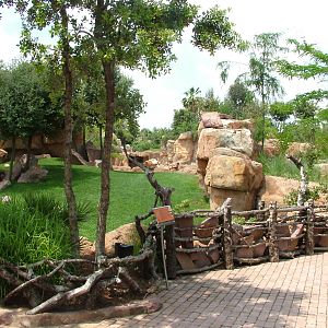 Spotted Hyaena Exhibit at Bioparc Valencia, 28/05/11