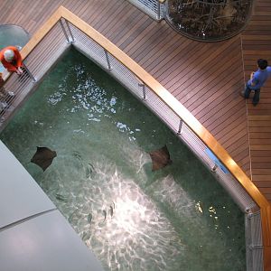 Reef Lagoon Viewed from Above