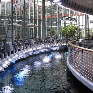 Surface of Philippine Coral Reef