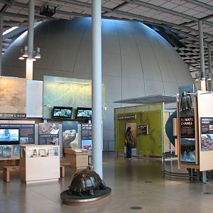 Islands of Evolution Gallery