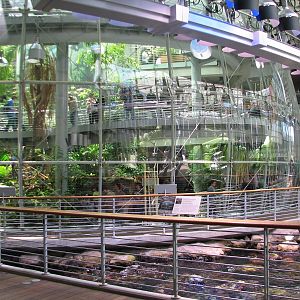 Osher Rainforest - Exterior