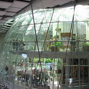 Osher Rainforest - Exterior