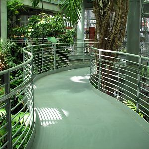 Osher Rainforest - Ramp Walkway