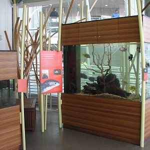 Osher Rainforest - Madagascar Exhibits - Aquariums
