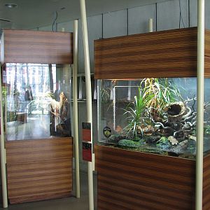 Osher Rainforest - Madagascar Exhibits - Terrariums