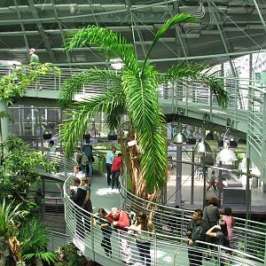 Osher Rainforest - Interior