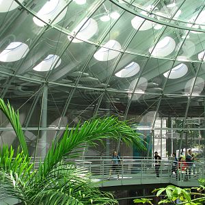 Osher Rainforest - Interior