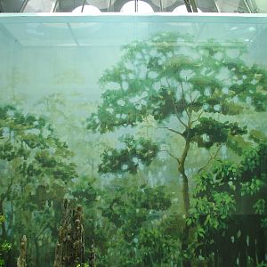 Osher Rainforest - Elevator Shaft