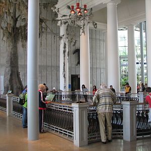 Southern Swamp - Lobby