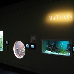 Staff Picks - Exhibits
