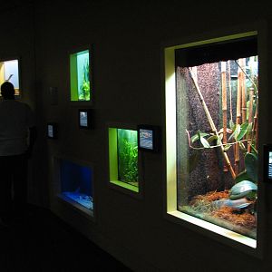 Staff Picks - Exhibits