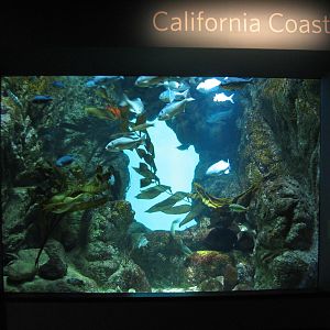 California Coast - Exhibit