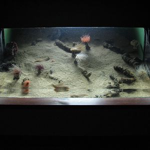 California Coast - Exhibit