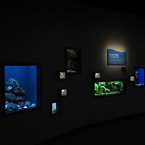 California Coast - Rocky Reefs Exhibits