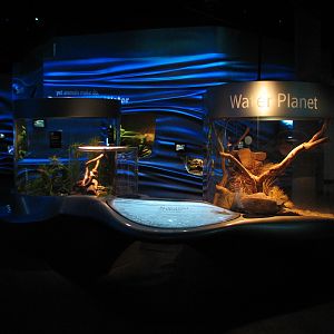 Water Planet - Exhibits