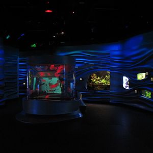 Water Planet - Exhibits