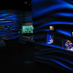 Water Planet - Exhibits