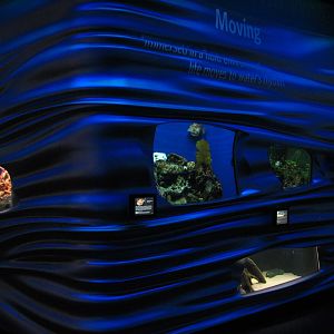 Water Planet - Exhibits