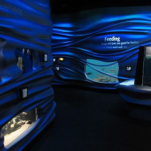 Water Planet - Exhibits