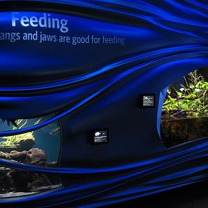 Water Planet - Exhibits