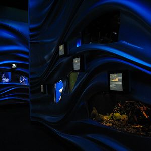 Water Planet - Exhibits