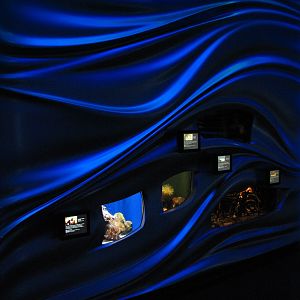 Water Planet - Exhibits