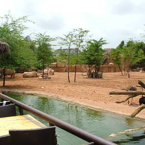 Second Savannah at Bioparc Valencia, 28/05/11