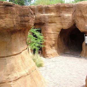 Entrance to Aardvark Burrow at Bioparc Valencia, 28/05/11