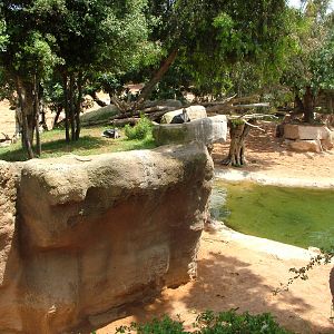 Bird Refuge - Second Savannah at Bioparc Valencia, 28/05/11