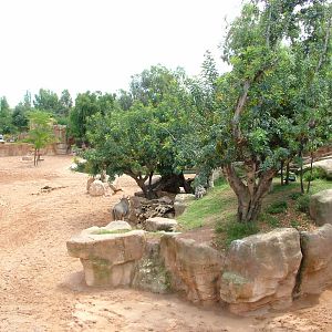 Bird Refuge - Second Savanna at Bioparc Valencia, 28/05/11