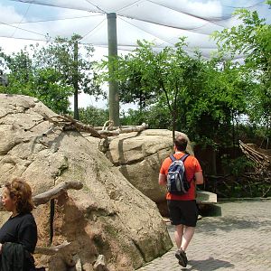 Walkthrough Aviary Interior at Bioparc Valencia, 28/05/11